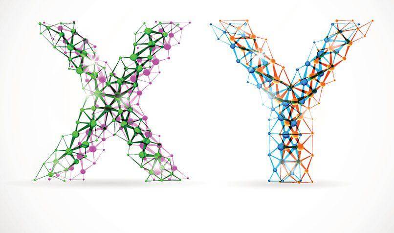 نظرية X و Y فى الإدارة لدوجلاس ماكجريجور 18 نظرية X و Y